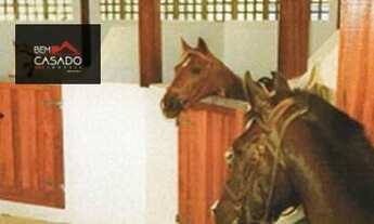 Imagem: Florianópolis - Terreno Padrão - Vargem