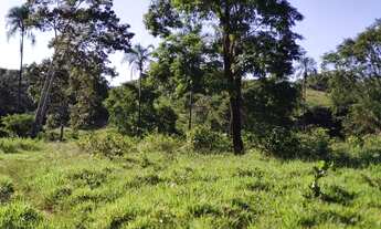 Imagem 6: Fazenda de 150 Alqueires Campinaçu