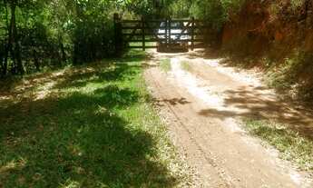 Imagem: Fazenda com 115 alqueires em são josé