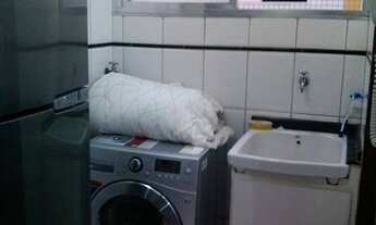 Imagem 6: Apartamento Duplex com 1 dormitório à venda, 68 m² por R$ 265.001,00 - Gonzaguinha - São V