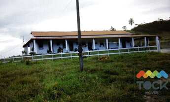 Imagem 6: Sítio Fazenda a 30km de Salvador