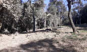 Imagem: TERRENO PONUNDUVA