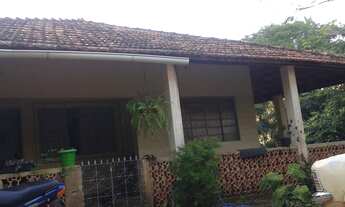 Imagem 5: Sítio beira do asfalto