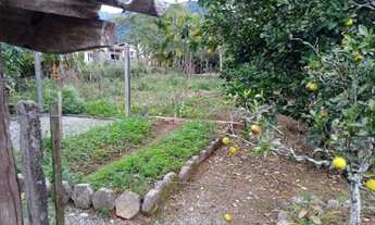 Imagem 7: Casa para venda tem 129 metros quadrados com 6 quartos em Centro Norte - Schroeder - SC