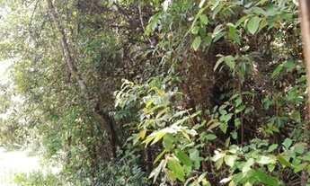 Imagem 6: Terreno à venda, 77346 m² por R$ 5.800.950,00 - São Sebastião das Águas Claras - Nova Lima