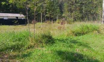 Imagem 7: Rural de 12000 metros quadrados no bairro Ipelândia com 3 quartos