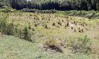 Imagem 4: Sítio 26.000m² - Morungaba/SP/BR