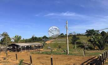 Imagem 5: Jaru - Sítio - 22 alqueires