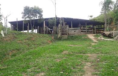 Imagem 2: Linda Fazenda 40 alqueires Formada, Tanques de Peixes, Sede (Willian Ricardo