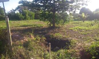 Imagem 3: 12 terrenos juntos, excelente para construção de empreendimento vettical