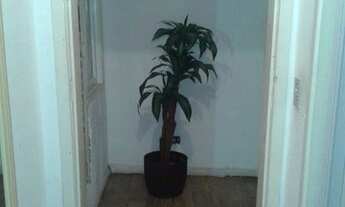 Imagem 3: PORTO ALEGRE - Apartamento Padrão - VILA IPIRANGA