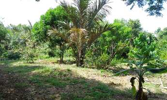 Imagem: VENDO OU TROCO ESTE LINDO SÍTIO NO KM 10