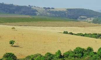 Imagem 6: Fazenda/sítios/chácaras com 2 dormitórios à venda em Três Pontas