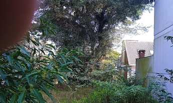 Imagem 5: Terreno em Sétimo Céu