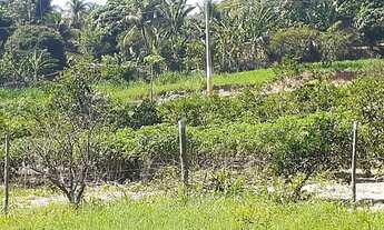 Imagem 4: Oportunidade Lotes em Guaratiba - 8x15