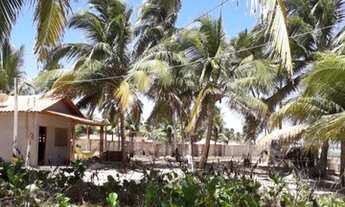 Imagem 4: Coruripe - Terreno Padrão - Centro