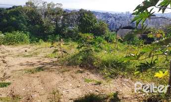 Imagem 3: PORTO ALEGRE - Terreno Padrão - Vila Conceição