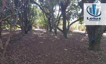 Imagem 6: Terreno à venda, 1006 m² - Rincão - Santo Antônio de Posse/SP