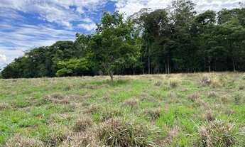 Imagem 5: Chácaras em Nerópolis a vista e parcelado