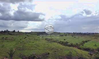 Imagem 4: Theobroma - Sítio - 6 alqueires theobroma