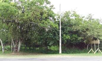 Imagem 4: Porto Alegre - Terreno Padrão - Lami