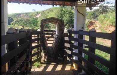 Imagem 7: FAZENDA PORTEIRA FECHADA PRODUZINDO LEITE/CORTE  CUNHA - SP