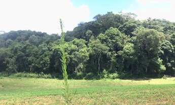 Imagem 5: Fazenda/Sítio/Chácara para venda com 36000 metros quadrados em Campo Novo - Campo Magro