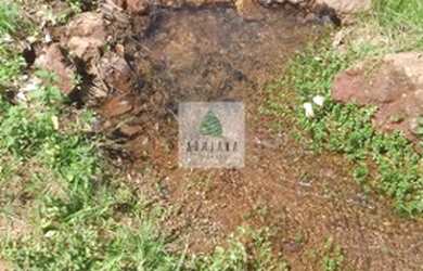 Imagem 3: Gameleira de Goiás - Chácara - Zona Rural