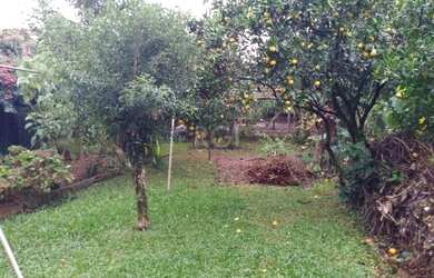 Imagem 7: Porto Alegre - Casa Padrão - Belém Velho