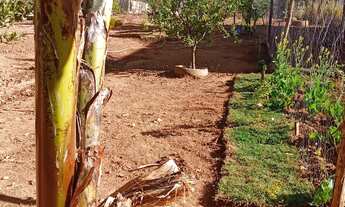 Imagem 4: Terreno de 400 mtrs com barracão de 3 cômodos e banheiro