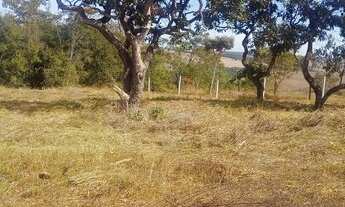 Imagem 2: Sitios e chacaras Anápolis