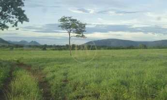 Imagem 5: Alvorada do Norte - Fazenda - Zona Rural