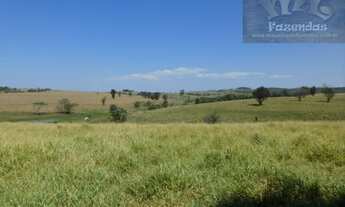 Imagem 5: Fazenda na região de Tatuí 80 alqs