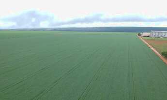 Imagem 3: Vendo em Planaltina GO