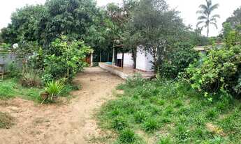 Imagem 14: Mini Sitio em Fazenda Ingaiba