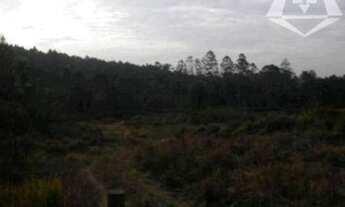 Imagem 2: Área à venda, 25360 m² por R$ 3.804.000,00 - Chácara Santa Mônica - Vargem Grande Paulista