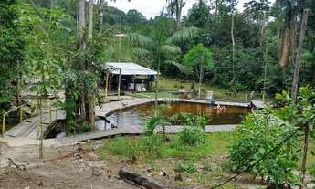 Imagem 2: VENDO SÍTIO / CHÁCARA