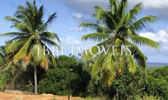 Imagem 4: Terreno No Ultimo Condomínio Da Reserva Imbassaí