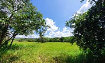 Imagem 2: Oportunidade. Terrenos 20.000m² Terra Boa e Lagoa nos Fundos