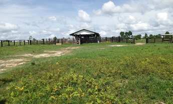Imagem 4: Fazenda/Sítio/Chácara para venda tem 6.290.000 m² , na TransCametá - Cametá - PA