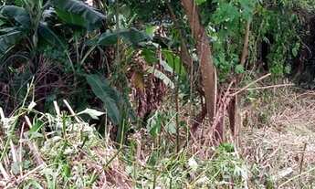 Imagem 2: Terreno na Fazendinha - Teresópolis