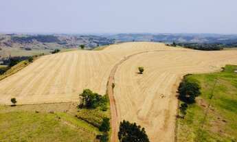 Imagem 3: Terra boa Chácara com venda por R$27.360.000