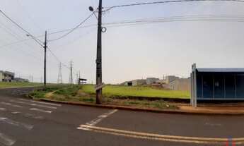 Imagem 4: MARINGÁ - TERRENO PADRÃO - CAMPO BELO