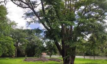 Imagem 3: Terreno em Barão Geraldo - Campinas - SP lote com 3.060 Mts plano