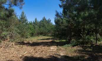 Imagem 4: Imagine você e sua família Desfrutando de um lugar assim..Pura vida sem stress da cidade !