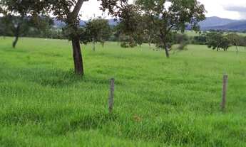 Imagem 5: Fazenda de 150 Alqueires Campinaçu