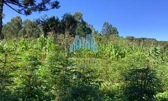 Imagem 4: Lote/Terreno para venda com 52300 metros quadrados em Bocaiuva Do Sul - Bocaiúva do Sul