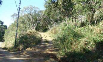 Imagem 7: Terreno no bairro Três Pinheiros em Gramado!