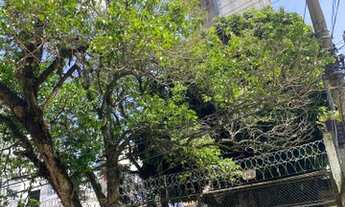 Imagem 7: Terreno Alto de Pinheiros