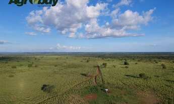 Imagem 6: Fazenda em Gurupi TO